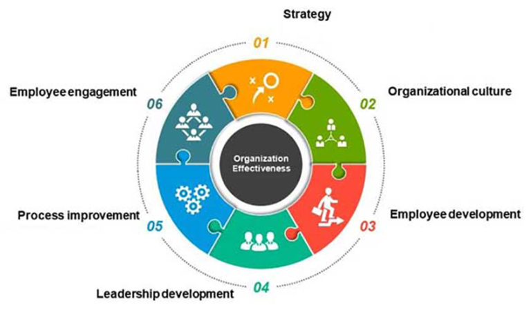 Organization Effectiveness & Manufacturing Excellency